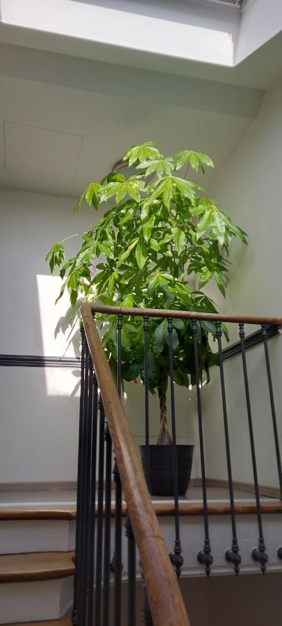 Les Angevines Apartamento *
