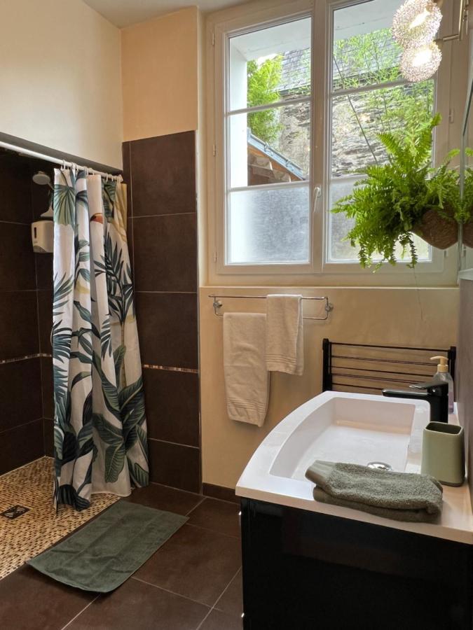 Les Angevines Appartement Angers